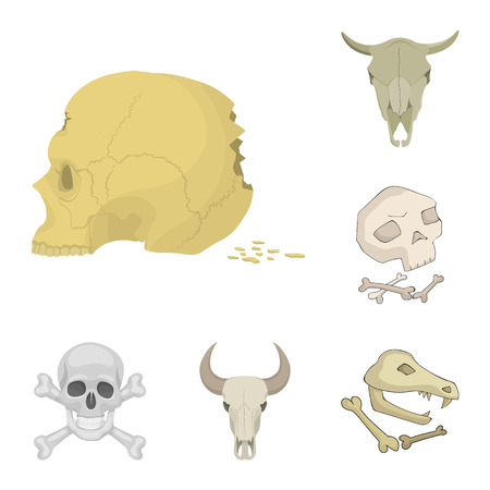 Isolated object of skeleton and character symbol. Set of skeleton and halloween vector icon for stock.のイラスト素材