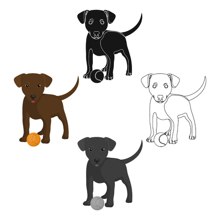 Pet, puppy dog with a ball. Pet,dog care single icon in cartoon style vector symbol stock illustration web.のイラスト素材