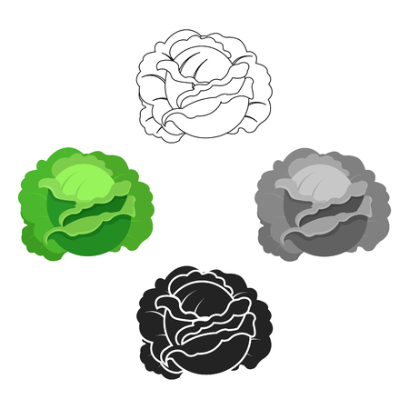 Cabbage icon cartoon. Single plant icon from the big farm, garden, agriculture cartoon.のイラスト素材
