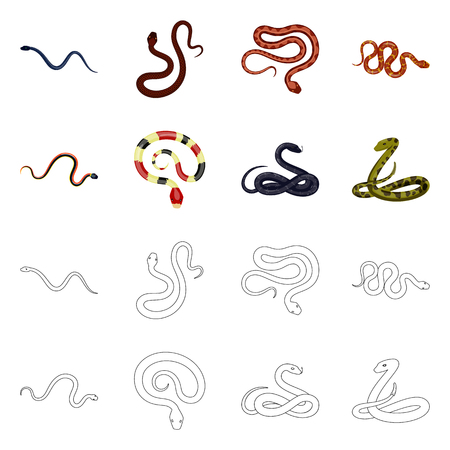Isolated object of mammal and danger icon. Collection of mammal and medicine stock symbol for web.のイラスト素材