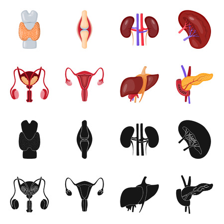 Isolated object of biology and scientific sign. Collection of biology and laboratory stock vector illustration.のイラスト素材