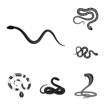 Vector illustration of harm and bite logo. Collection of harm and reptile stock symbol for web.のイラスト素材