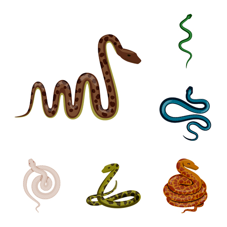 Vector design of poison and evil sign. Set of poison and bite stock vector illustration.のイラスト素材