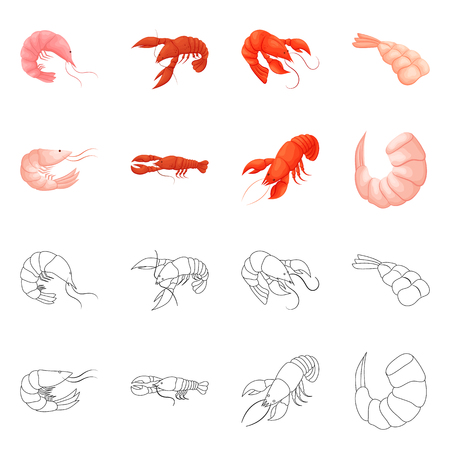 Vector design of appetizer and ocean symbol. Collection of appetizer and delicacy stock symbol for web.のイラスト素材