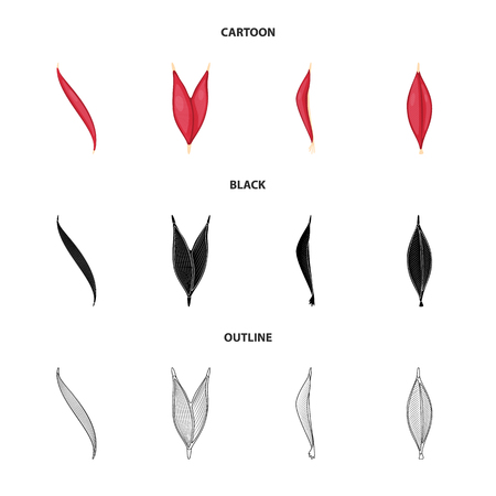 Vector illustration of fiber and muscular logo. Set of fiber and body  stock vector illustration.のイラスト素材