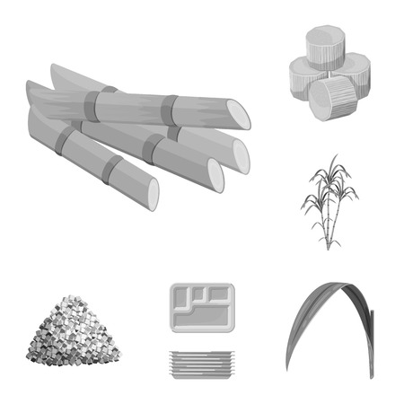 Isolated object of sugarcane and cane icon. Collection of sugarcane and field vector icon for stock.のイラスト素材