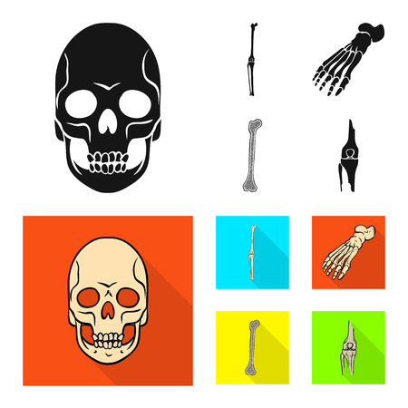 Vector illustration of medicine and clinic symbol. Set of medicine and medical stock symbol for web.のイラスト素材