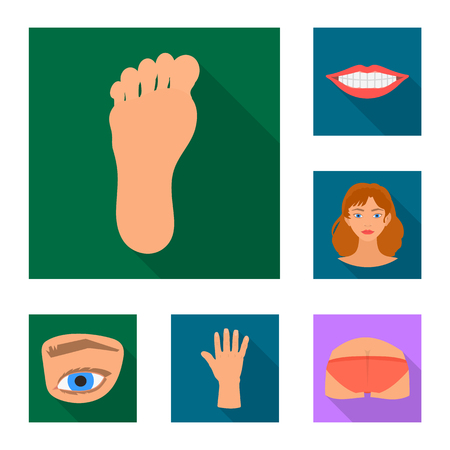 Vector illustration of body and part symbol. Set of body and anatomy vector icon for stock.のイラスト素材