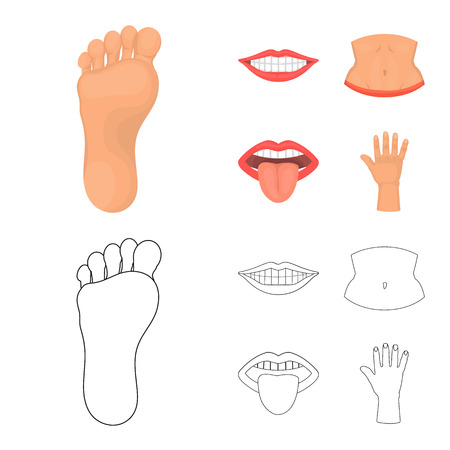 Isolated object of body and part icon. Collection of body and anatomy vector icon for stock.のイラスト素材