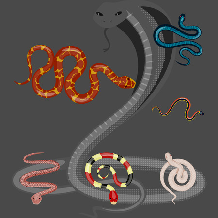 Vector design of poison and evil symbol. Collection of poison and bite stock symbol for web.のイラスト素材