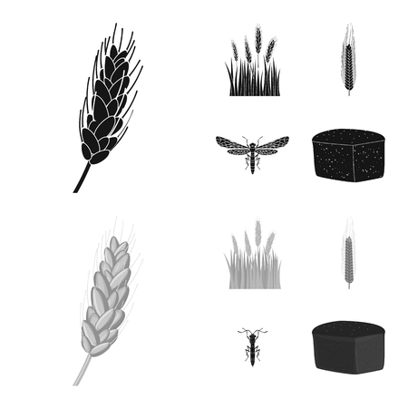 Vector design of agriculture and farming logo. Set of agriculture and plant  stock symbol for web.のイラスト素材