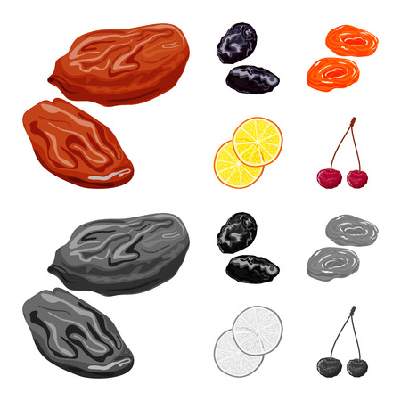 Isolated object of food  and raw  icon. Set of food  and nature   stock symbol for web.のイラスト素材