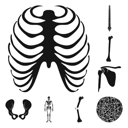 Vector design of biology and medical icon. Collection of biology and skeleton stock vector illustration.のイラスト素材