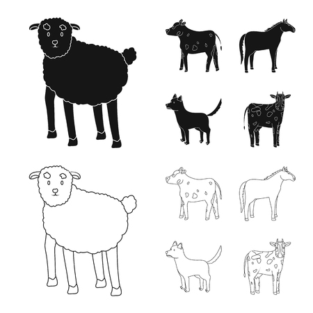 Vector design of breeding and kitchen  sign. Collection of breeding and organic  stock symbol for web.のイラスト素材