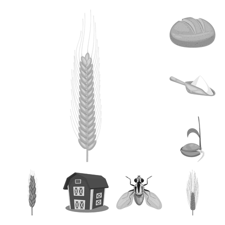 Vector illustration of rye and plant  symbol. Collection of rye and corn stock vector illustration.のイラスト素材