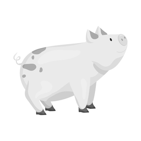 Vector illustration of pig and animal symbol. Collection of pig and meat   stock vector illustration.のイラスト素材