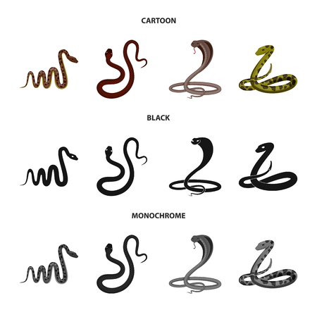 Vector design of mammal and danger sign. Set of mammal and medicine stock symbol for web.のイラスト素材