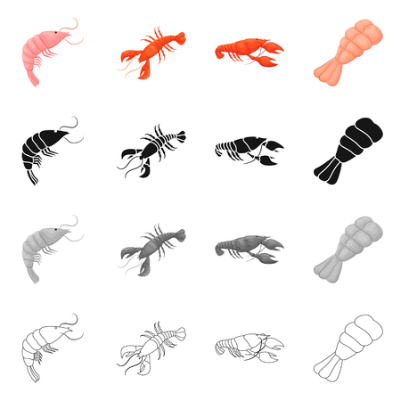 Vector illustration of appetizer and ocean symbol. Collection of appetizer and delicacy vector icon for stock.のイラスト素材