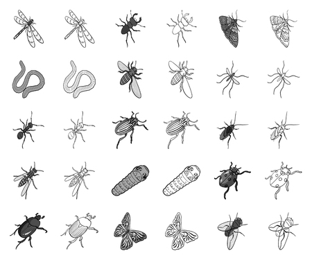 Different kinds of insects monochrome,outline icons in set collection for design. Insect arthropod vector isometric symbol stock web illustration.のイラスト素材