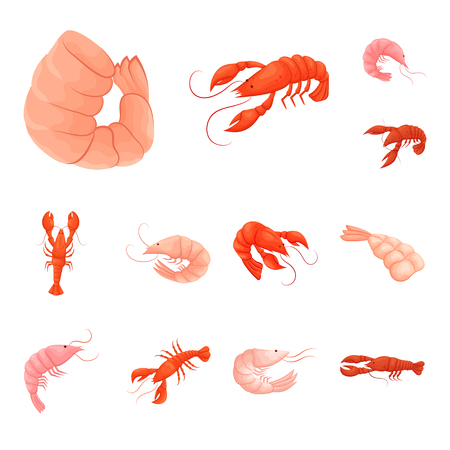 Vector illustration of shrimp and crab sign. Set of shrimp and sea vector icon for stock.のイラスト素材