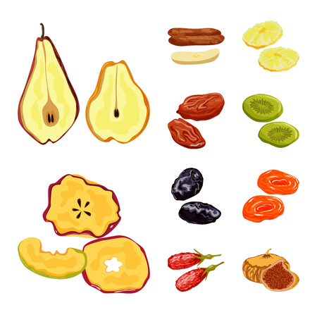 Vector design of fruit and dried  icon. Set of fruit and food  vector icon for stock.のイラスト素材