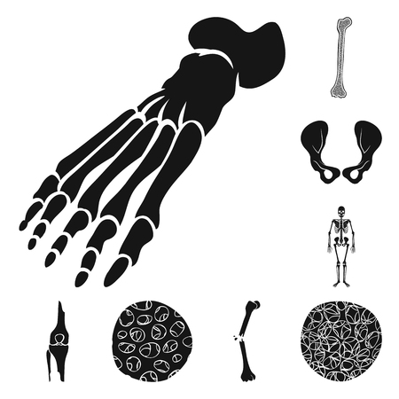 Isolated object of biology and medical icon. Collection of biology and skeleton stock symbol for web.のイラスト素材