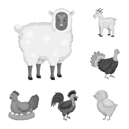 Vector design of homestead and agriculture icon. Set of homestead and kitchen  vector icon for stock.のイラスト素材