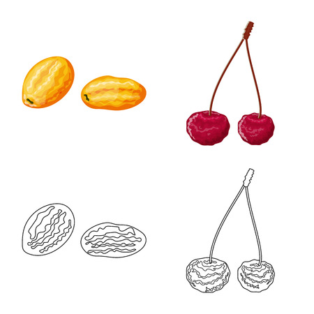 Vector illustration of food  and raw  symbol. Set of food  and nature   stock symbol for web.のイラスト素材