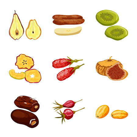 Isolated object of fruit and dried  symbol. Set of fruit and food  vector icon for stock.のイラスト素材