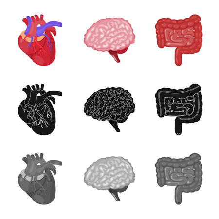 Vector design of biology and scientific symbol. Collection of biology and laboratory stock vector illustration.のイラスト素材