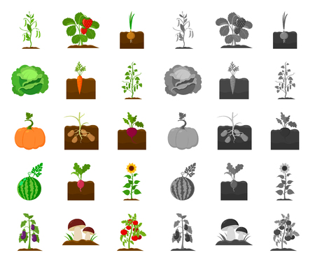 Plant, vegetable cartoon,mono icons in set collection for design. Garden and harvest vector symbol stock web illustration.のイラスト素材