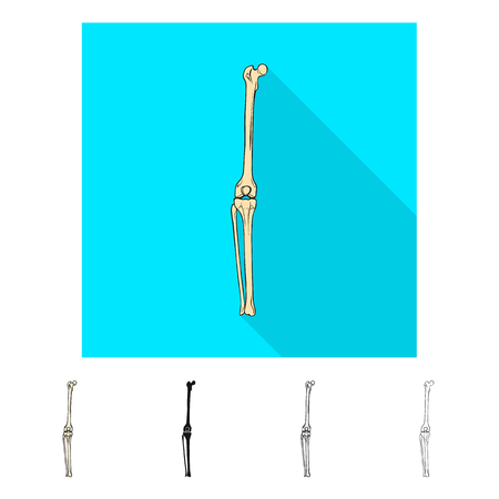 Vector illustration of medicine and clinic symbol. Collection of medicine and medical stock vector illustration.のイラスト素材