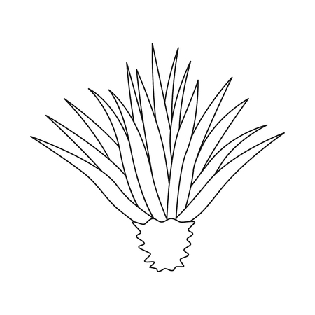 Isolated object of agave and plant  symbol. Set of agave and cactus stock vector illustration.のイラスト素材