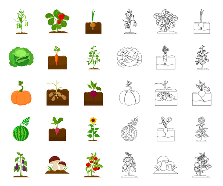 Plant, vegetable cartoon,outline icons in set collection for design. Garden and harvest vector symbol stock web illustration.のイラスト素材