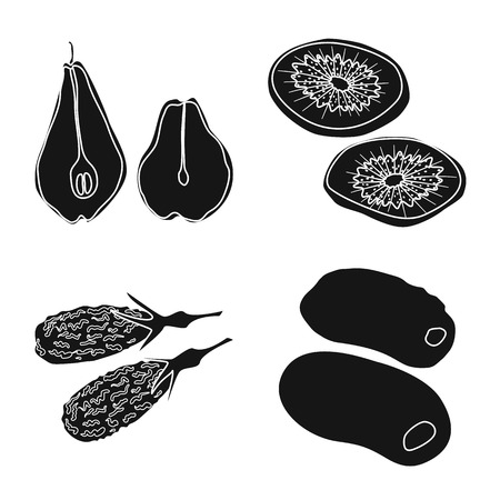 Vector illustration of vitamin  and nature   icon. Set of vitamin  and dried  vector icon for stock.のイラスト素材