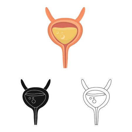 Vector illustration of incontinence and bladder . Collection of incontinence and urine  vector icon for stock.のイラスト素材