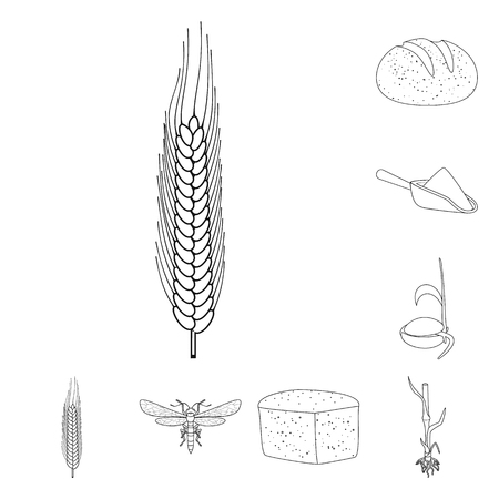 Vector design of agriculture and farming sign. Set of agriculture and plant  stock symbol for web.のイラスト素材