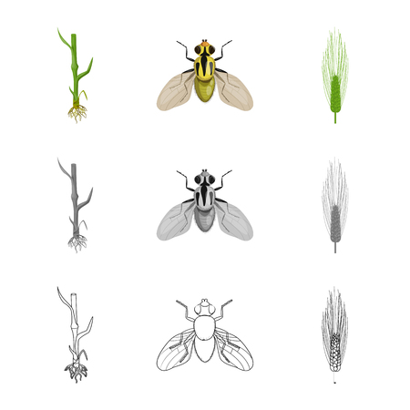 Vector design of agriculture and farming symbol. Set of agriculture and plant  stock symbol for web.のイラスト素材