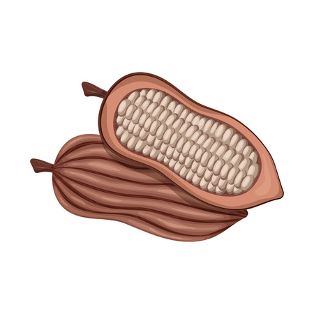 Vector design of seed and chocolate icon. Collection of seed and farm  stock symbol for web.のイラスト素材