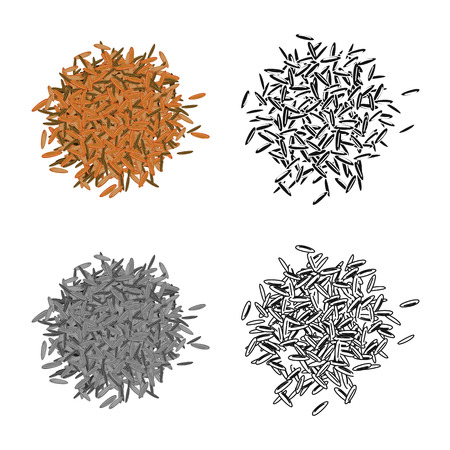 Vector illustration of grain and rice  logo. Collection of grain and seed stock symbol for web.のイラスト素材