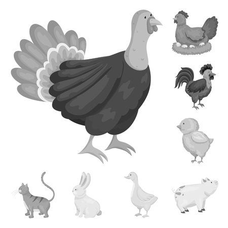 Isolated object of homestead and agriculture logo. Collection of homestead and kitchen  vector icon for stock.のイラスト素材