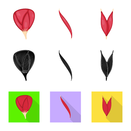 Isolated object of fiber and muscular sign. Set of fiber and body  stock symbol for web.のイラスト素材
