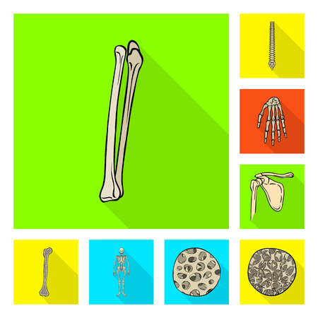 Isolated object of bone and skeleton icon. Set of bone and human stock symbol for web.のイラスト素材