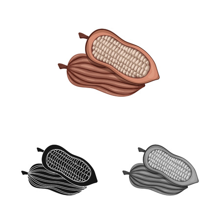 Isolated object of seed and chocolate sign. Collection of seed and farm  vector icon for stock.のイラスト素材