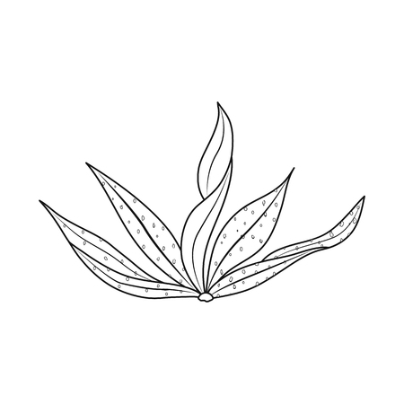 Vector design of algae and healthy icon. Set of algae and aquarium vector icon for stock.のイラスト素材