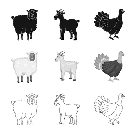 Vector design of breeding and kitchen. Set of breeding and organic  vector icon for stock.のイラスト素材