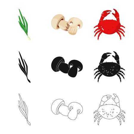 Isolated object of taste and product logo. Set of taste and cooking stock vector illustration.のイラスト素材