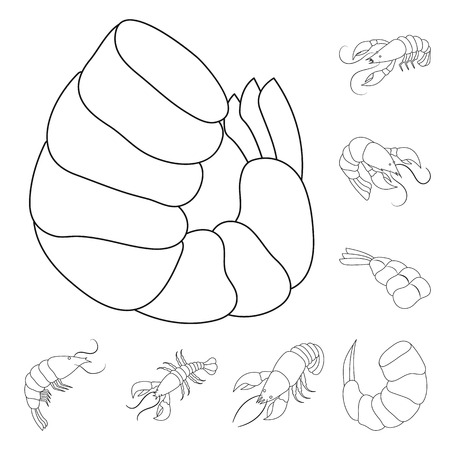 Vector illustration of food  and sea sign. Collection of food  and animal  vector icon for stock.のイラスト素材