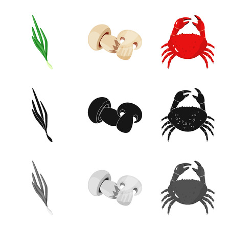 Isolated object of taste and product symbol. Collection of taste and cooking stock symbol for web.のイラスト素材