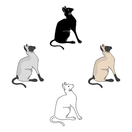 Siamese icon in cartoon,black style isolated on white background. Cat breeds symbol stock vector illustration.のイラスト素材